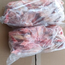 二级鸽子全净膛5-8量货源稳定价格实惠