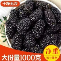 【净重无干燥剂】黑桑葚干新疆桑葚干净黑桑葚干泡水泡茶批发
