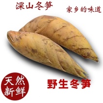 湖南娄底深山冬笋/预售货品/可以提前订购