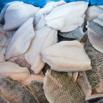 带皮鲷鱼片，罗非鱼片，厂家直销
