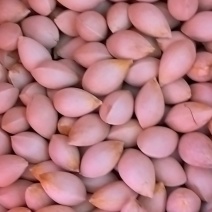 银杏果，白果
