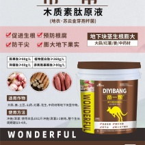 大蒜红薯姜药材，地下块茎生根膨大专用，促生根膨大地下果实