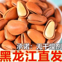 包邮）2025新鲜新货东北开口松子手剥大颗粒原味袋装净重