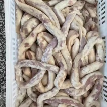 肠包羊肉