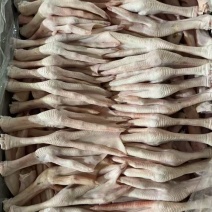 一级大鹅掌一公斤15个左右厂家直销质量保证