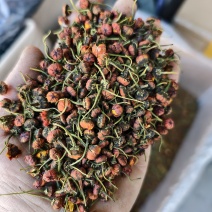 精品昆仑雪菊今年新货