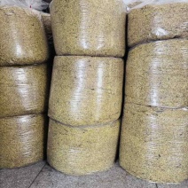 桂花干批发厂家直销