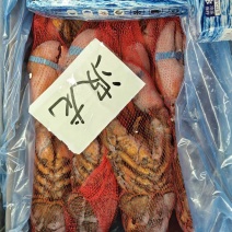 波龙
