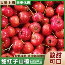 精品甜红子山楂大量有货/一手货源量大从优质量保证
