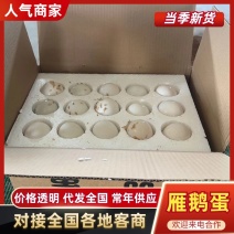 鹅蛋，盒装鹅蛋，桶装鹅蛋，双黄鸭蛋，双黄鹅蛋，雁鹅蛋