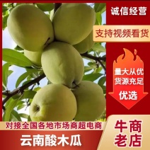 云南高原酸木瓜
