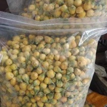 金花茶花苞花骨