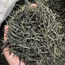毛尖茶