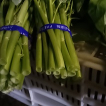 精品空心菜供应