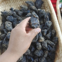 芥菜干酱香芥肉中等个头