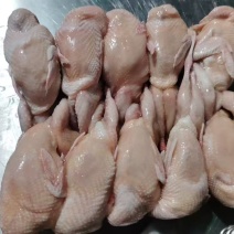 白条半净膛鹌鹑