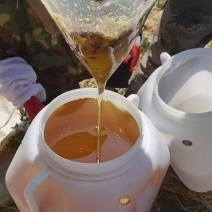 纯蜂蜜，百花蜜，椴树蜜，洋槐蜜，蜂王浆，农户自己养的蜂