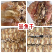 墨鱼干地摊电视批发批发墨鱼干小墨鱼干货乌贼干目鱼干鱼干