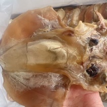 墨鱼干地摊电商批发墨鱼干乌贼干鱼干干鱼