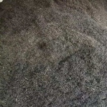 低端普洱茶