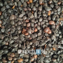 肥料大豆，碳化大豆，种地，种树，种肥好东西