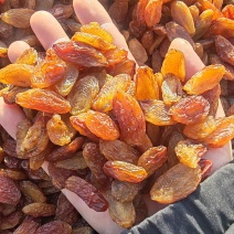 红香妃葡萄干大量上市量大质优价廉欢迎各大老板采购