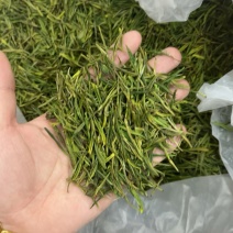 白茶毛峰