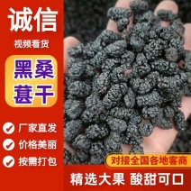 四川桑椹干2026年新货粒大无沙桑椹子甜度高支持批发零售