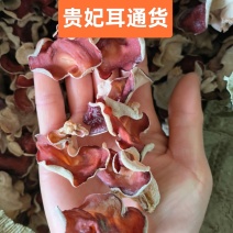 粉木耳贵妃木耳粉耳贵妃耳红木耳