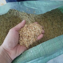 酒厂净壳，干净无尘无霉变，酒厂专用