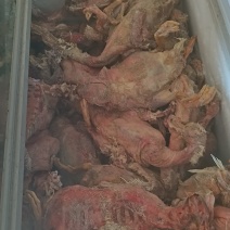 脱毛残鸭