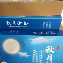 秋月梨加工中，需要的老板联系啦