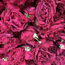 冻干墨红玫瑰花微波干烤干墨红金边玫瑰花出售