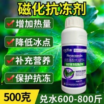 磁化抗冻剂防冻害低温增加热量含氨基酸水溶肥