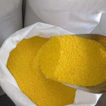 精品春谷小米大量批发零售