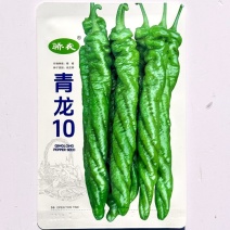 青龙10无限生长绿色大果型陇椒种子早中熟半麻面钝尖螺丝辣