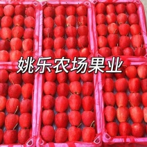 辽宁鸡心果又名锦绣海棠果，口感脆甜多汁