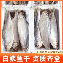 白鳞鱼力鱼鳓鱼腌制鱼鲞整鱼老式咸鱼干野生海水鱼白干鱼批发