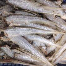 凤尾鱼