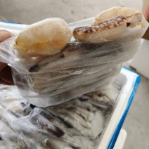 蟹块梭子蟹蟹钳蟹块