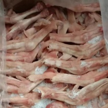 一级鹅掌