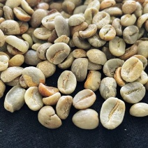 巴布亚新几内亚咖啡生豆一手供应商价格便宜