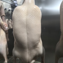 北京四系填鸭胚