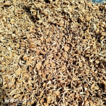烤干滑子菇现货发货，口感鲜美营养丰富，健康佳选！