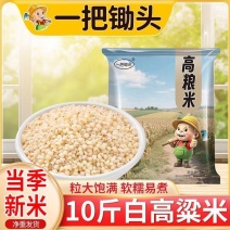 10斤高粱米净重正宗东北黑山农家6a白高粱米