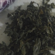 地皮菜雷公菜地软野生