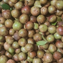 油茶果