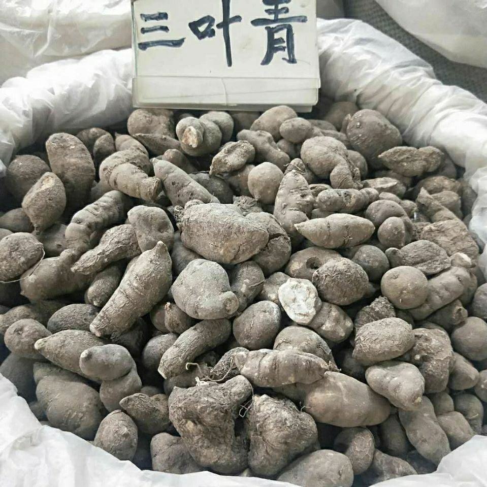 [三叶青批发]安徽亳州谯城区三叶青 42.00元/斤中药材三叶青 _ 一亩田