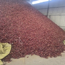 干辣椒-北京红干辣椒大量上市，颜色好，从手工剪扒。