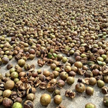 山茶油